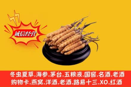 长武县求购回收虫草多少钱每克